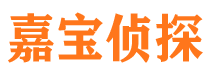 合江市私家侦探